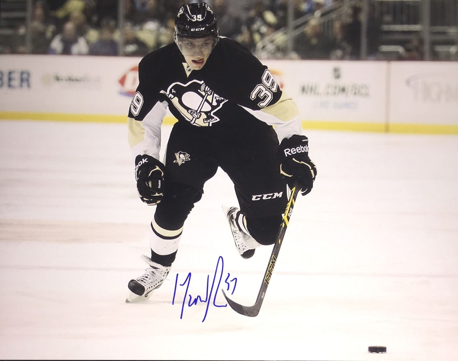 David Perron AUTOGRAPH Photo Poster painting Pittsburgh Penguins Signed 11x14 St Louis Blues