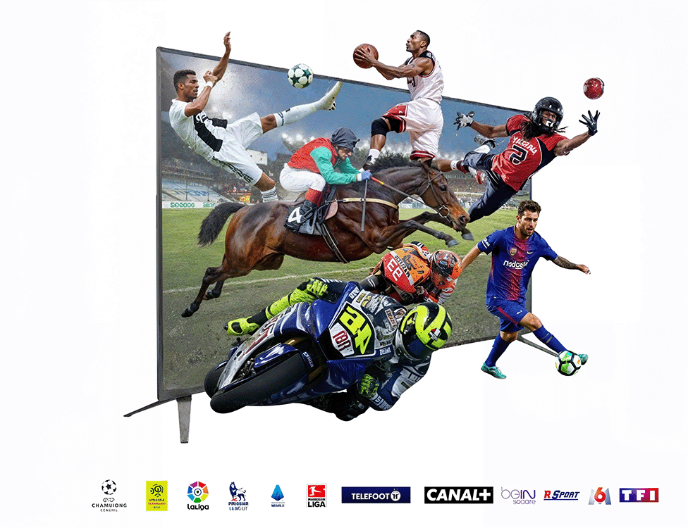 <p>Suscripción a IPTV Premium</p>