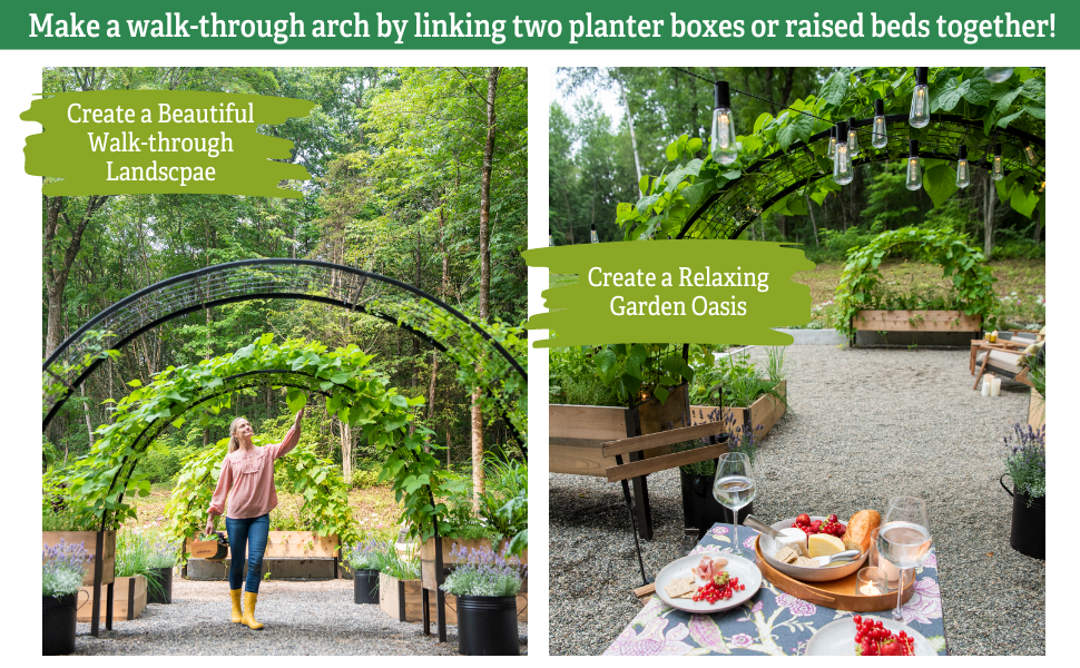 arch trellis