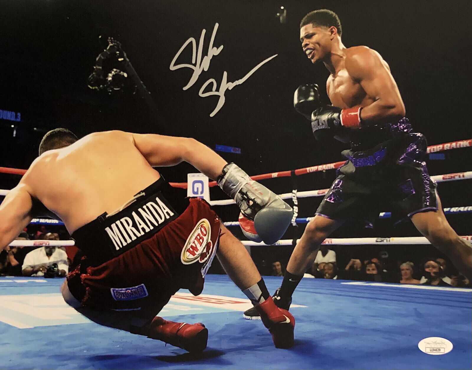 Shakur Stevenson Signed Autographed WBO 11x14 Photo Poster painting Champ JSA