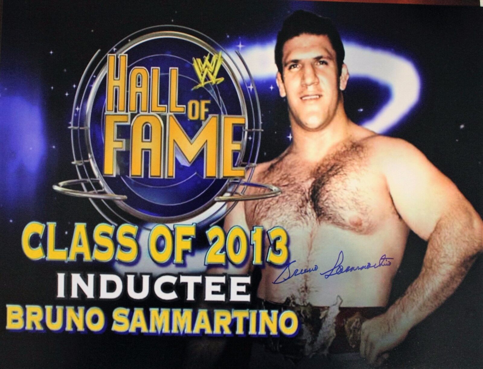 Autographed Bruno Sammartino WWF 16x20 Photo Poster painting with COA