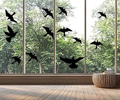 Anti Collision Window Stickers For Birds