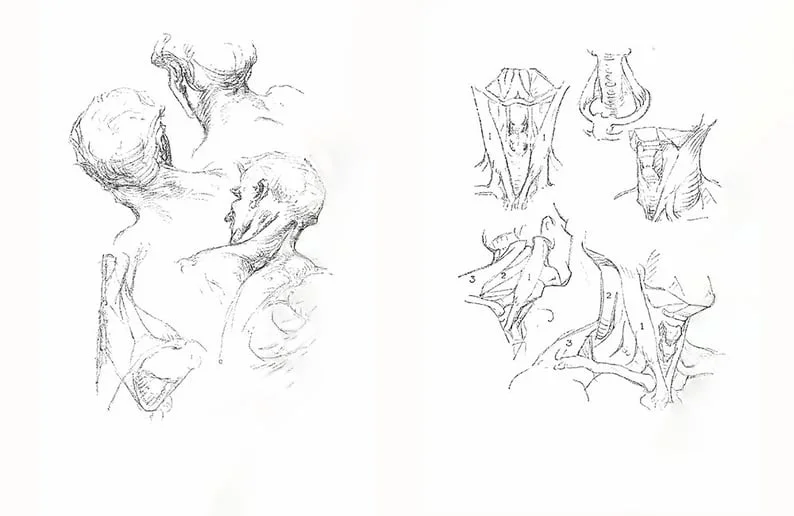 🎨Character Drawing Secrets+Character Drawing: The Dot Method Set | Korean with English(📚HARDCOVER BOOK)