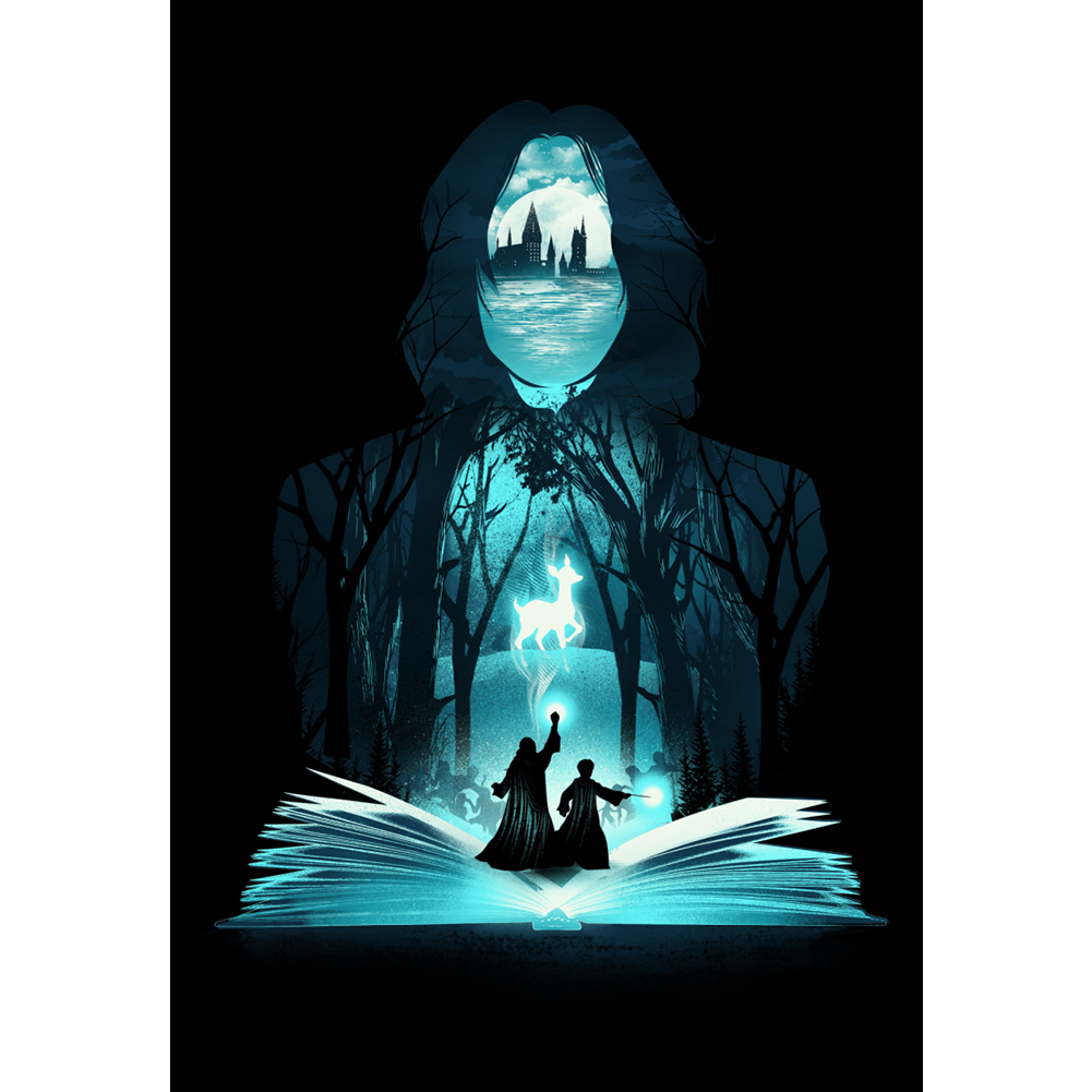 

Harry Wizard - 11CT Stamped Cross Stitch - 40*58CM, 501 Original