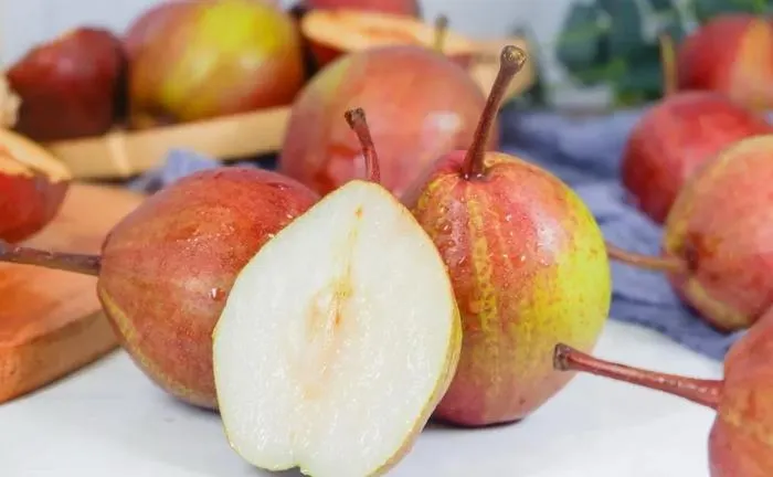 Pyrus pyrifolia 'Nijisseiki'🌈Rainbow Pear Seeds