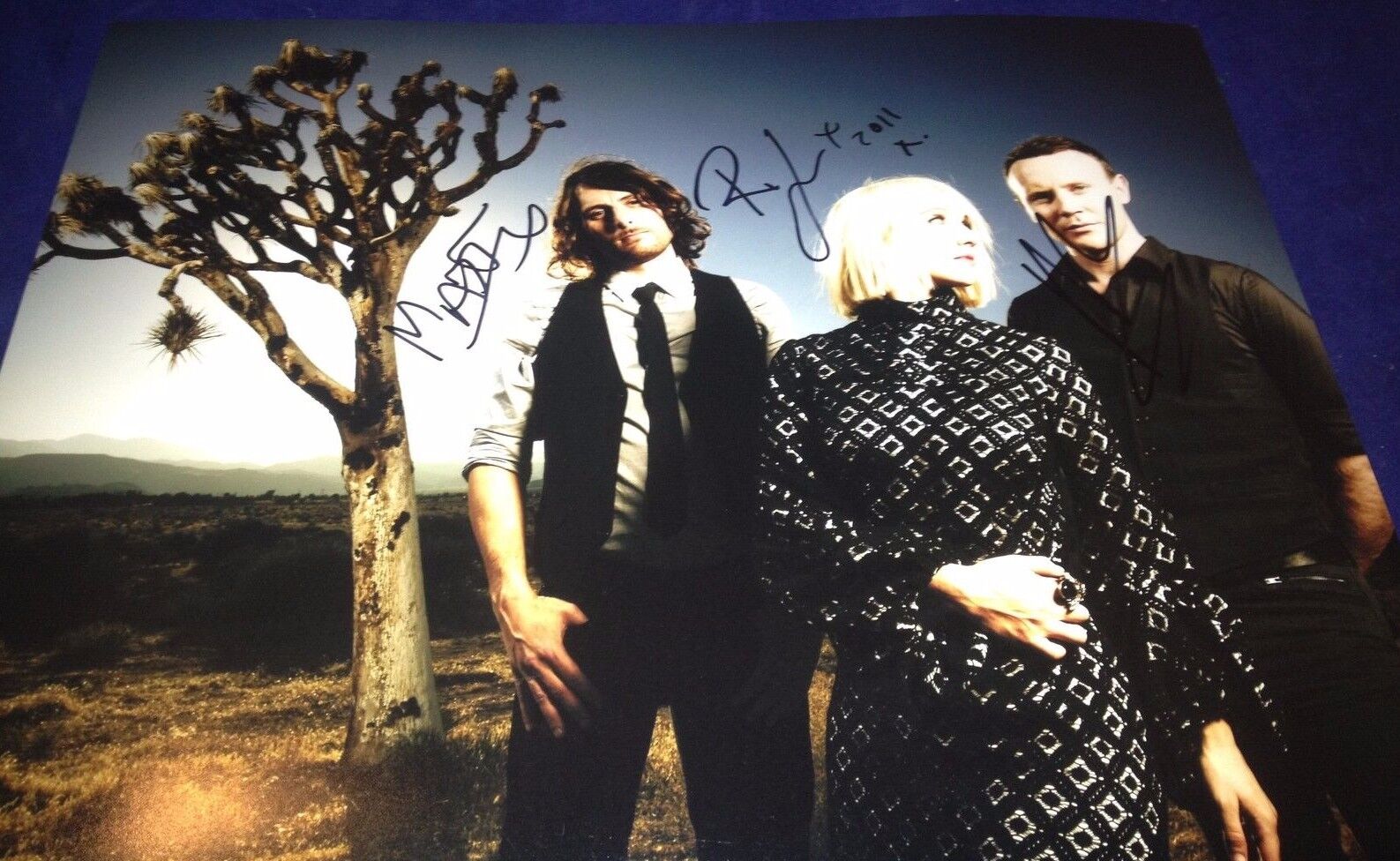 The Joy Formidable Complete Group Hand Signed Authentic 11x14 Photo Poster painting Ritzy W/COA