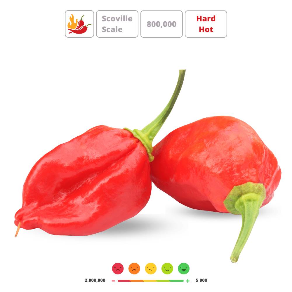 Bhut Jolokia Hot Chili Pepper Seeds