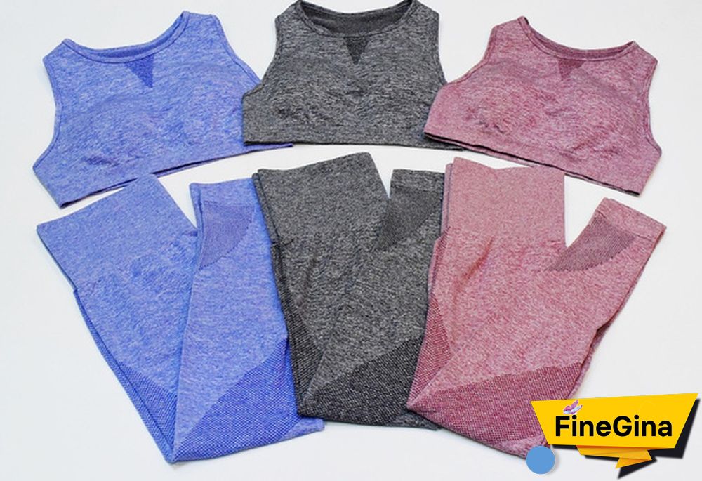 Women Workout 2 Pieces Set Sports Bra Seamless Legging Yoga Pant Gym Wear Bodybuilding Clothes