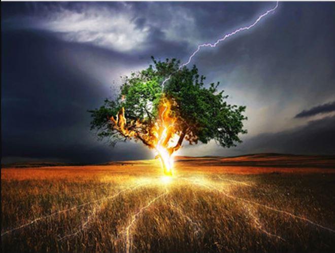 

Lightning Tree – Paint By Numbers - 40*50CM, 501 Original