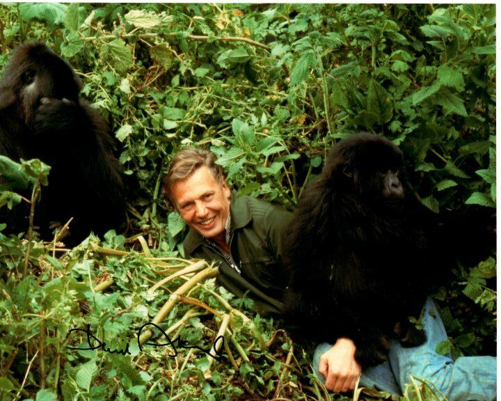 DAVID ATTENBOROUGH signed autographed 8x10 Photo Poster painting