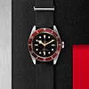 Tudor Black Bay