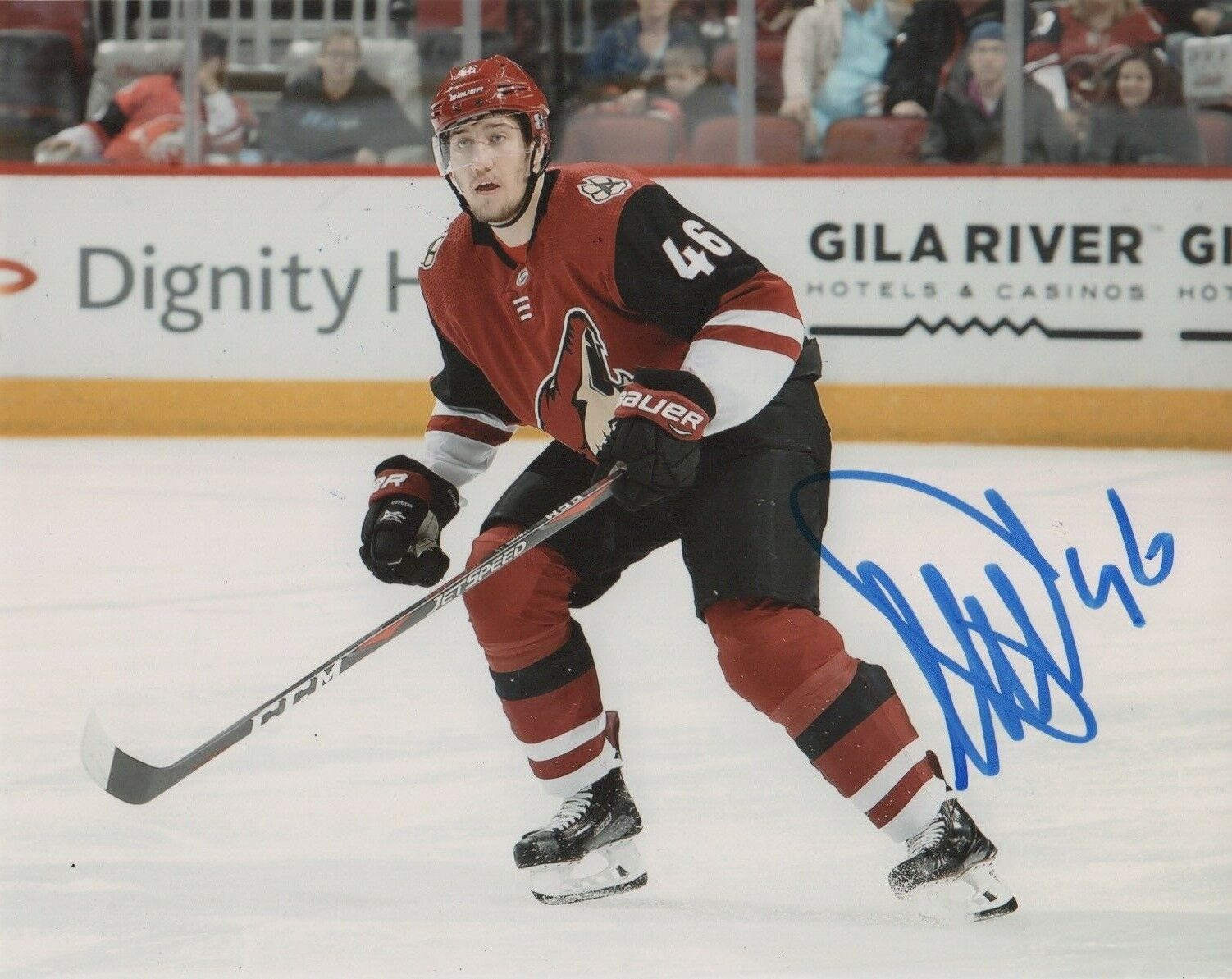 Arizona Coyotes Ilya Lyubushkin Autographed Signed 8x10 Photo Poster painting COA A