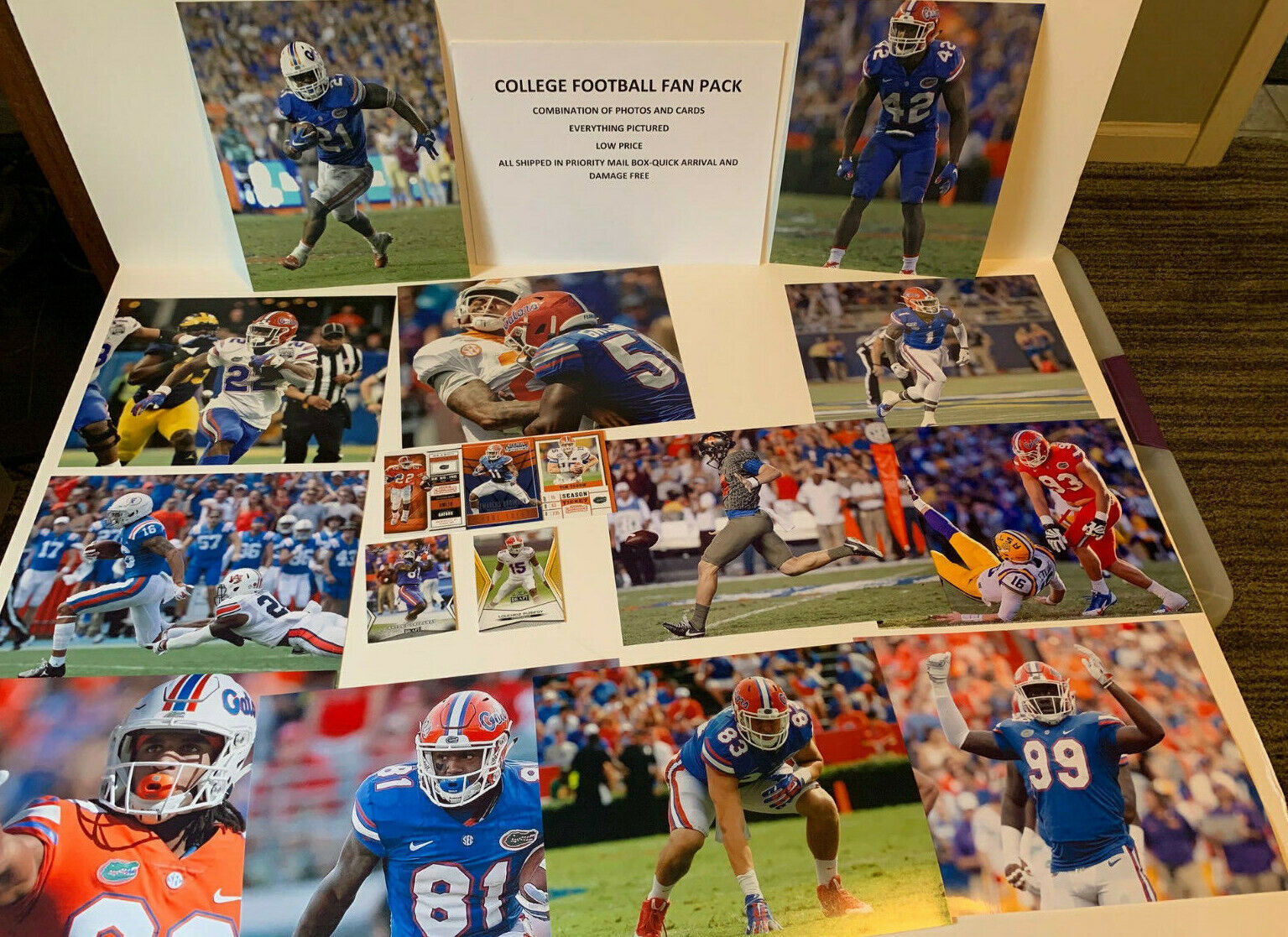 Florida Gators FAN PACK football Photo Poster paintings & cards GREAT GIFT THE SWAMP