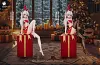 1/6 Scale Christmas Frieren - Frieren: Beyond Journey's End Resin Statue - YingHua Studio