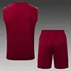 2025/2026 Arsenal Pre-Match Training Deep Dates Vest+Shorts Football1:1 Thai Quality