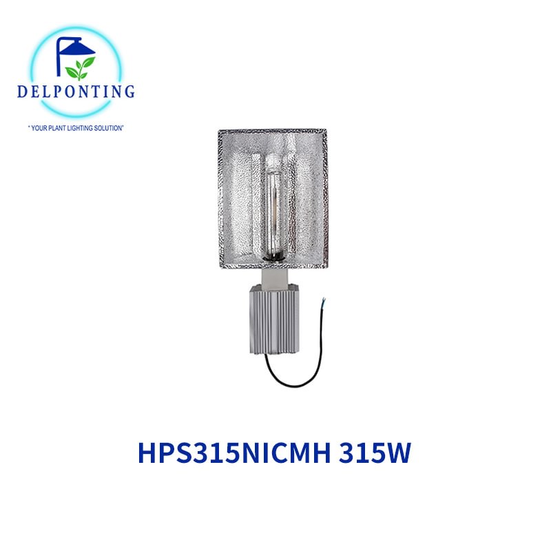 HPSCMH（Ceramic Metal Halide Lamp 315W）