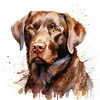 (Multi-Style) Dog-11CT Stamped Cross Stitch 40*40/40*60cm