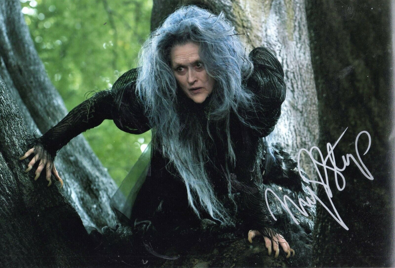 INTO THE WOODS - MERYL STREEP personally signed picture 8 x 12