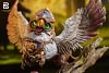 Chibi Ver. Gryphon & Ogre & Beholder - World of Warcraft Resin Statue - Black Rock Studio