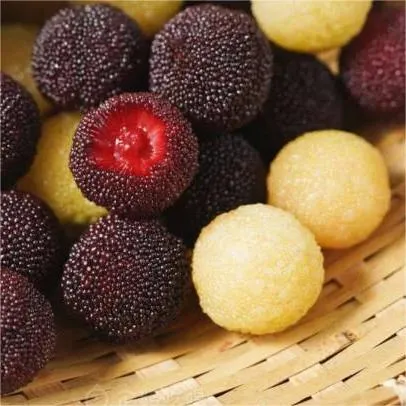 Giant Bayberry: Ping-Pong Ball Size, ⭐Strawberry-Cherry Fusion Flavor