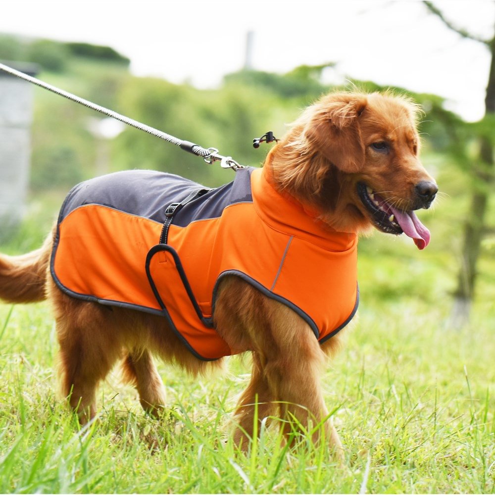 Waterproof Vest Outfit with Reflective Nylon Rope For Pet