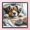 Sheepdog-11CT Stamped Cross Stitch 40*40cm/15.75*15.75in