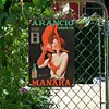 Arancio Manara - Panneaux en &eacute;tain m&eacute;tallique(20*30cm/30*40cm)