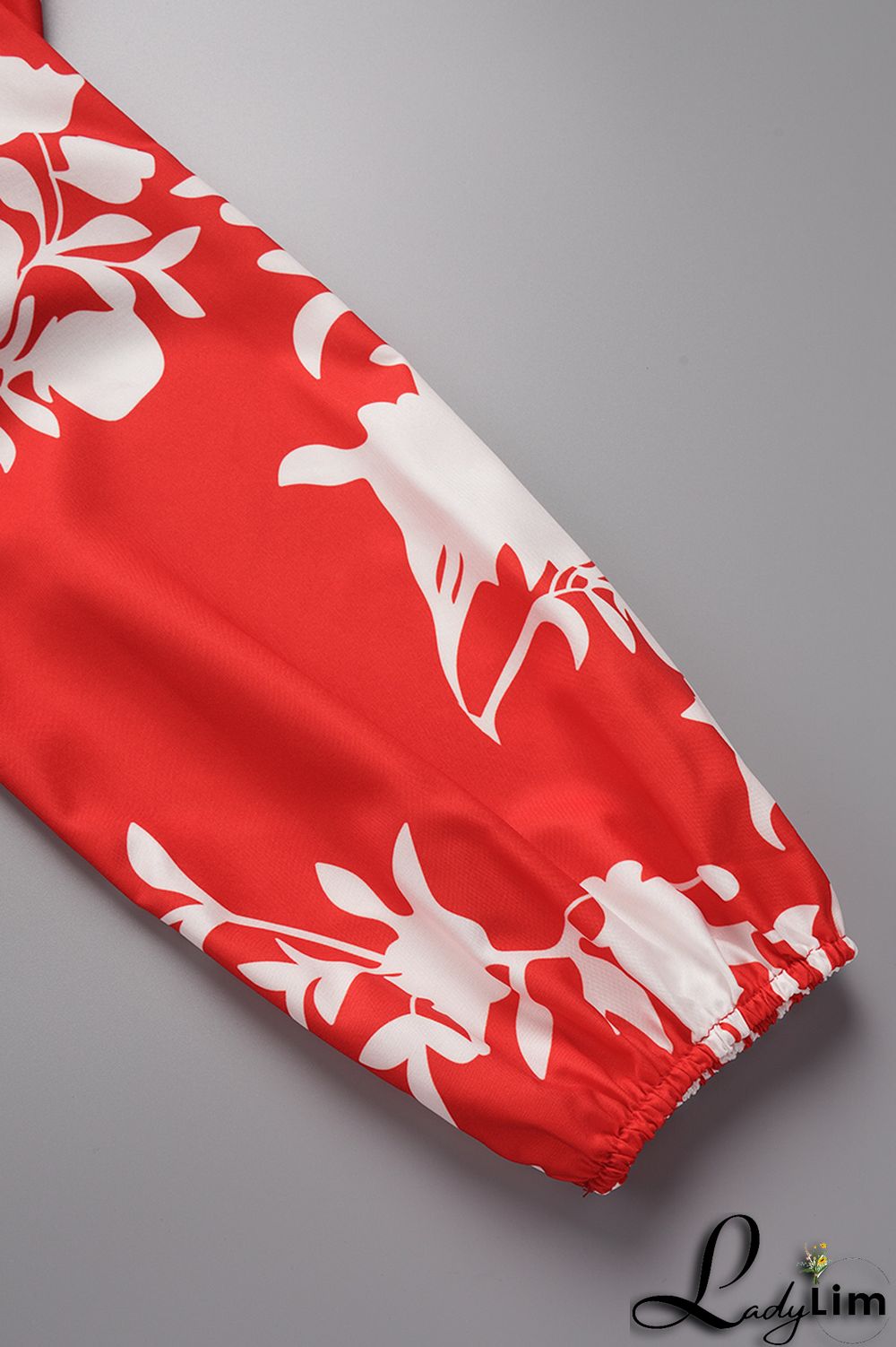 Red Casual Print Basic V Neck Long Sleeve Dresses