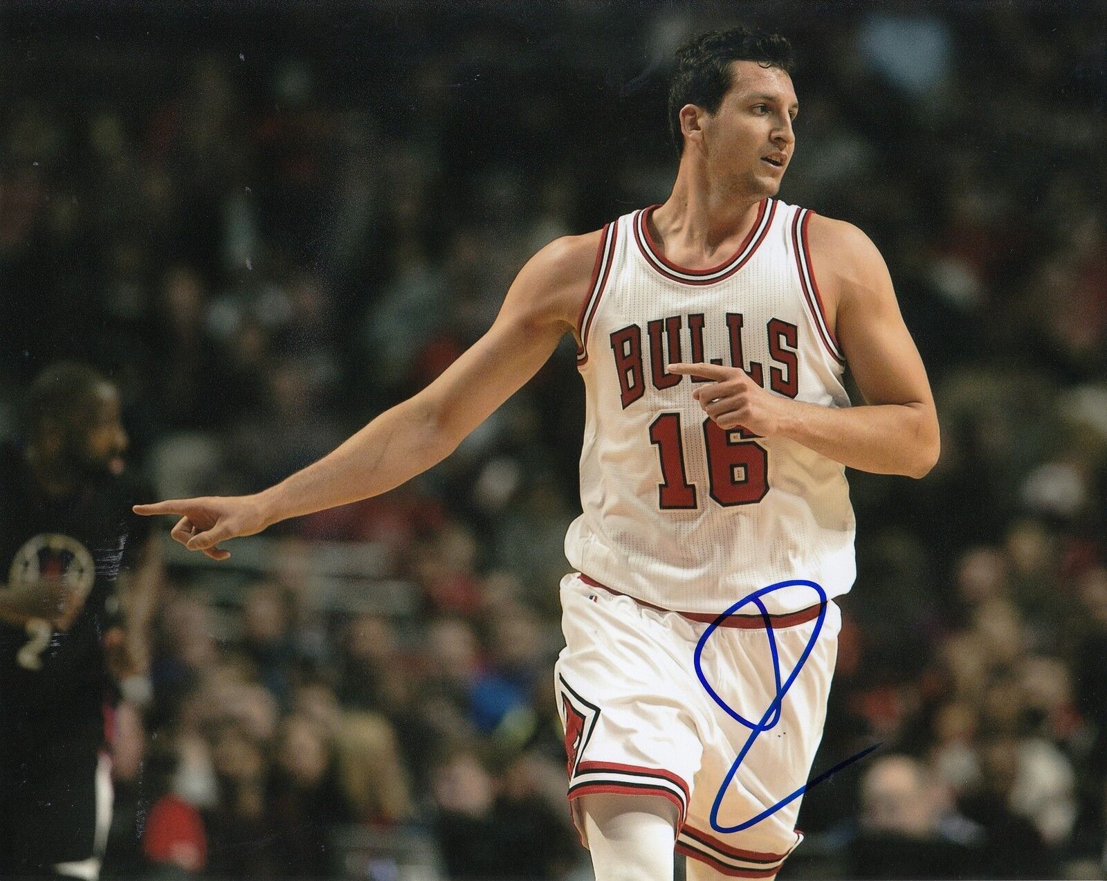 PAUL ZIPSER signed (CHICAGO BULLS) autographed BASKETBALL 8X10 Photo Poster painting W/COA #3