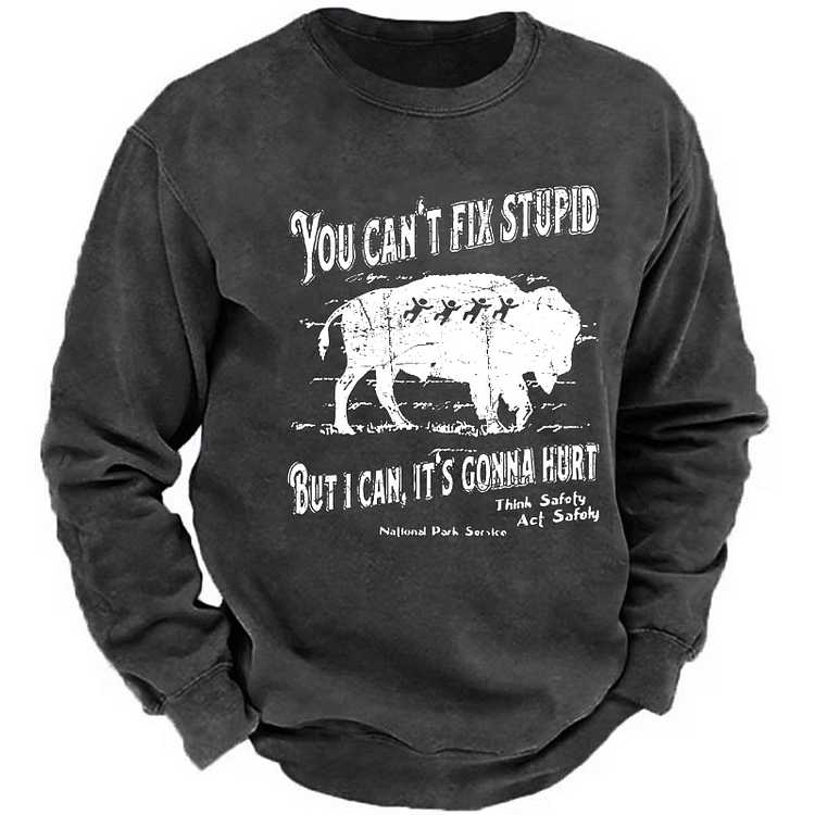 You Can't Fix Stupid But I Can It's Gonna Hurt Sweatshirt