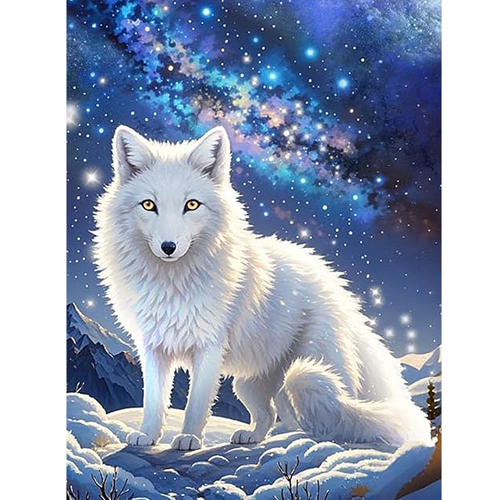 White Wolf In The Milky Way 30*40cm(canvas) full round drill diamond painting