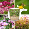 7,500 Fresh Pollinated Non-GMO Species Wildflower Seeds Package