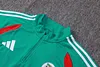Joyfball 2026/2027 Algeria Half-Pull Training Suit Green Jersey