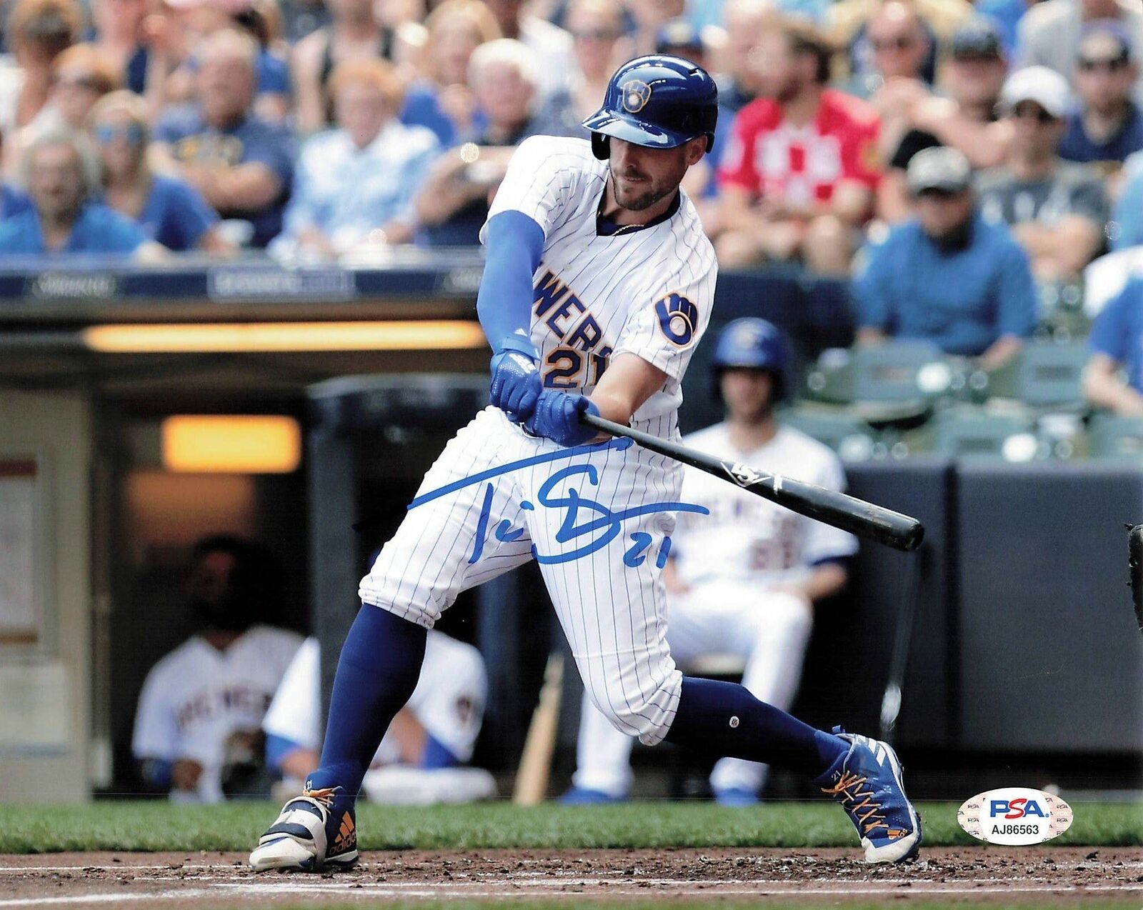 Travis Shaw signed 8x10 Photo Poster painting PSA/DNA Milwaukee Brewers Autographed