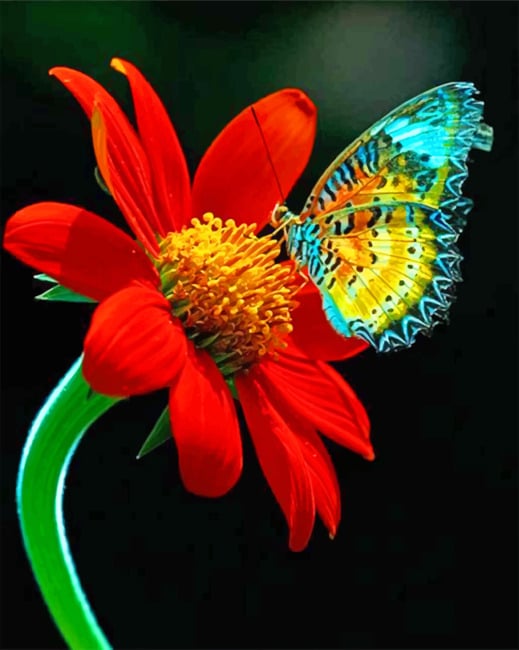 

Red Flower With Colorful Butterfly – Paint By Numbers - 40*50CM, 501 Original