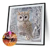 Crystal Owl-Special Shaped Diamond Painting