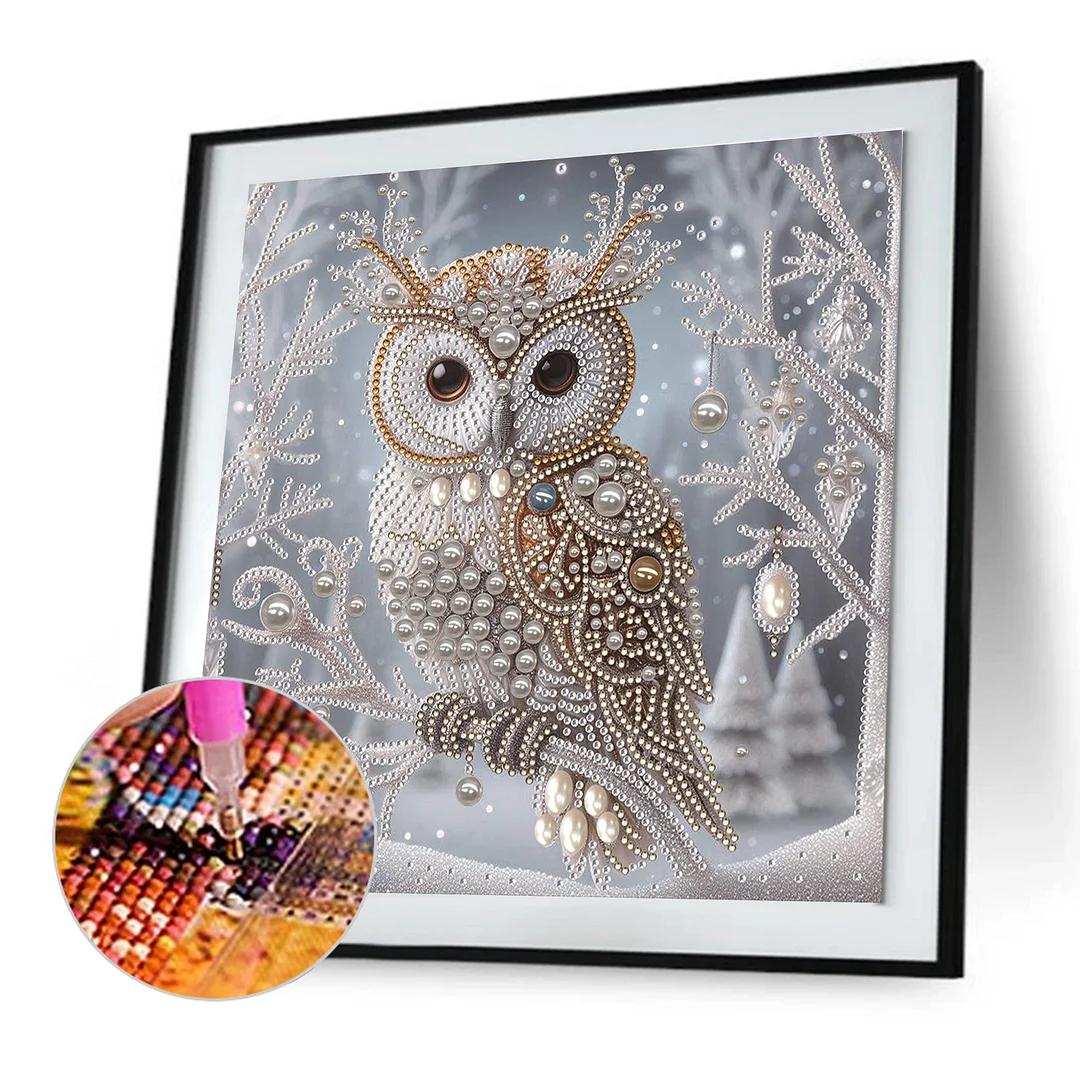 Crystal Owl Special Shaped 5D DIY Partial Drill Diamond Painting Kit Home Art 30x30cm