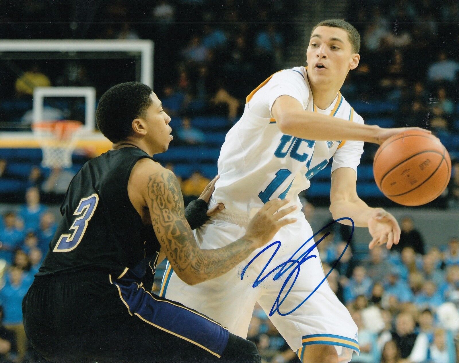 ZACH LAVINE signed (UCLA BRUINS) autographed BASKETBALL *BULLS* 8X10 Photo Poster painting COA 6