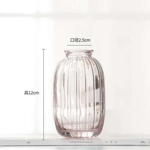 Mini Glass Vase For Decoration Small Living Room Decor Aesthetic Modern Transparent Hydroponic Flower Vase Home Decoration