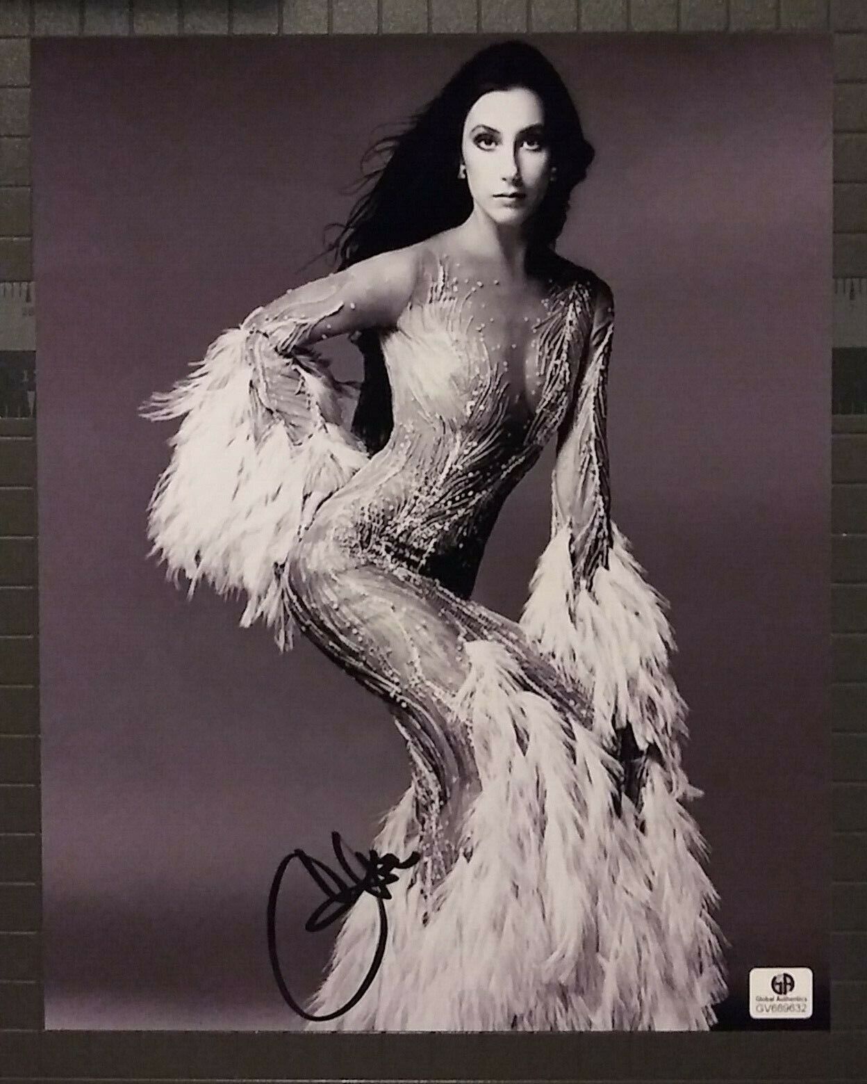 Cher signed 8x10 COA GAI