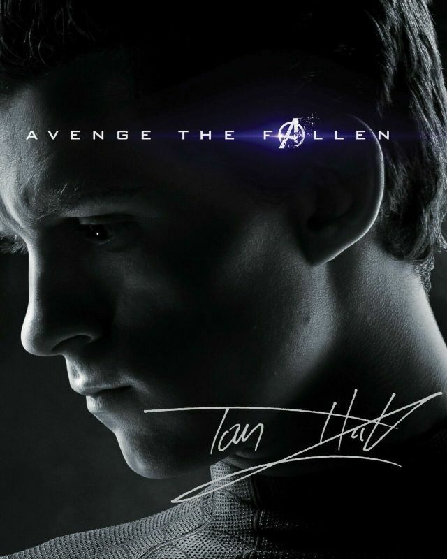 Tom Holland - Spiderman - The Avengers Autograph Signed Photo Poster painting Print