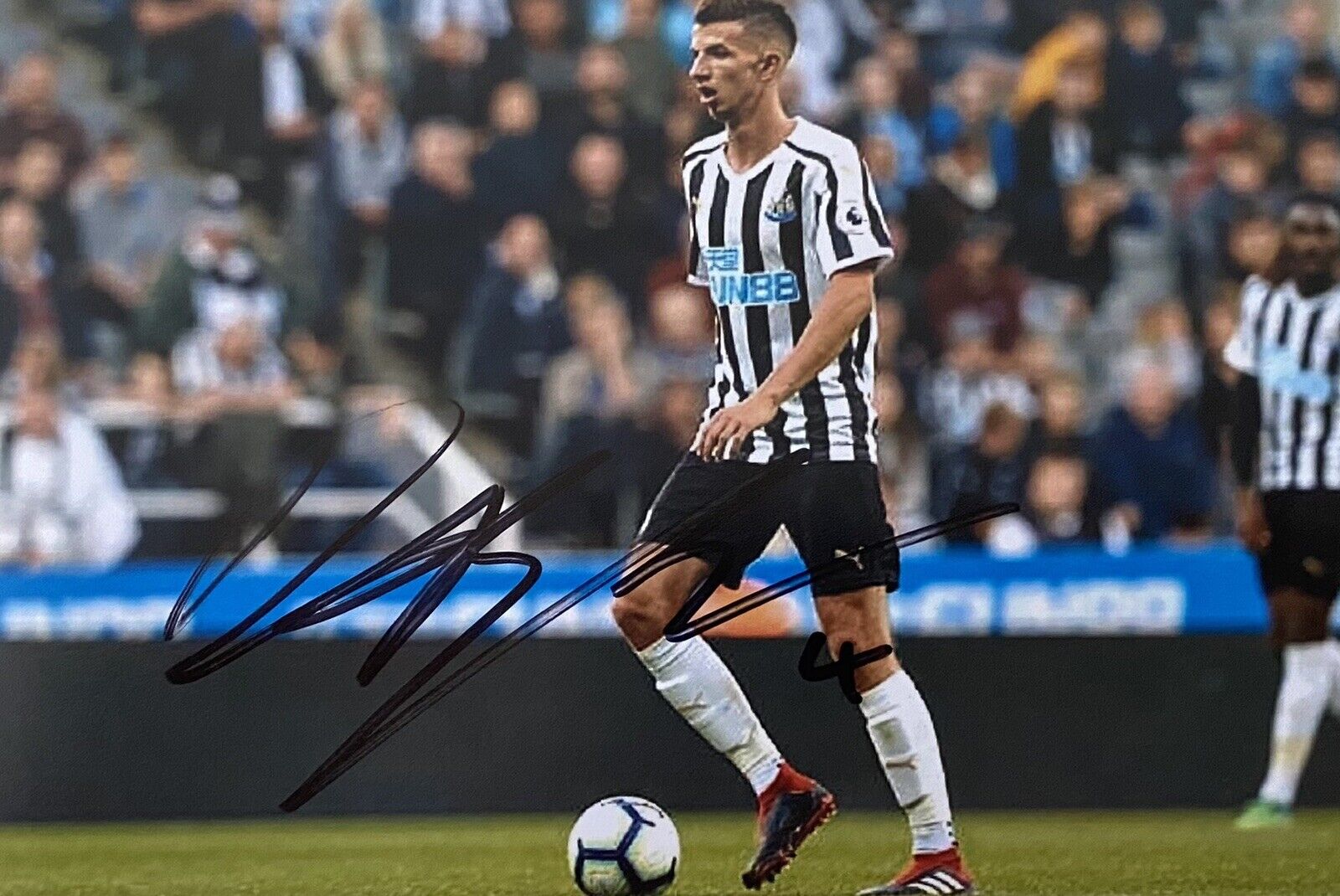 Daniel Barlaser Genuine Hand Signed Newcastle United 6X4 Photo Poster painting