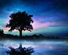 Tree Under The Starry Sky | Full Square Diamond Painting Kits