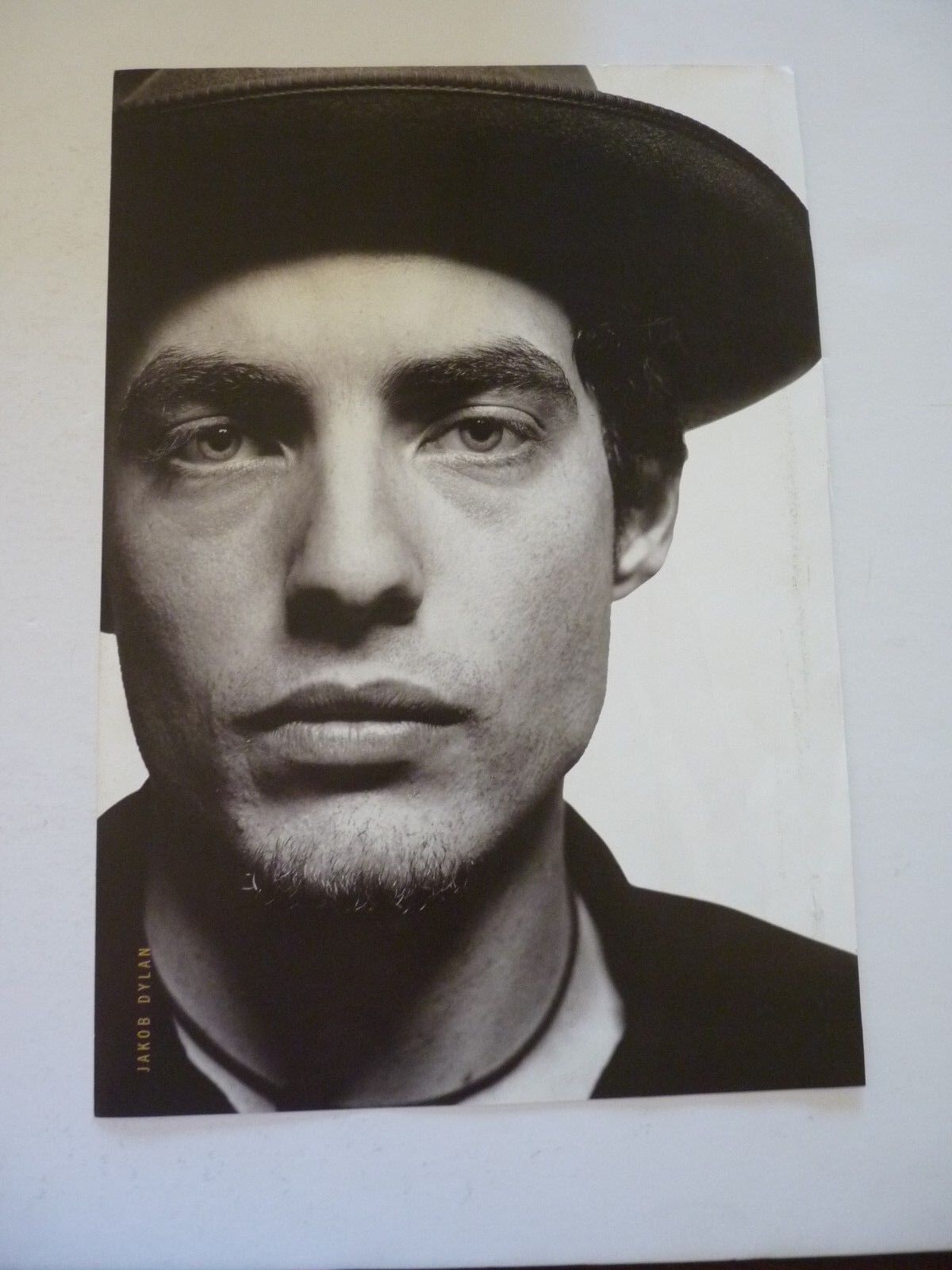 Jakob Dylan Courtney Love Double Sided Coffee Table Book Photo Poster painting Page 9x13