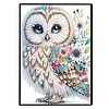 2pcs Owl Partial DIY 50 Pages A5 Diamond Painting Notebook for Study Drawing