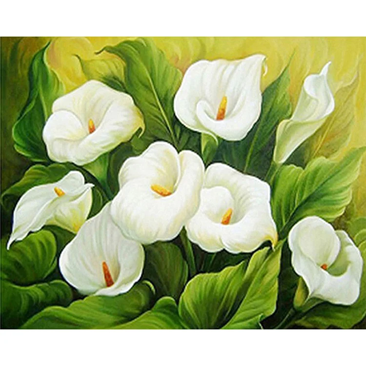 White Lily - Painting By Numbers - 50*40CM gbfke