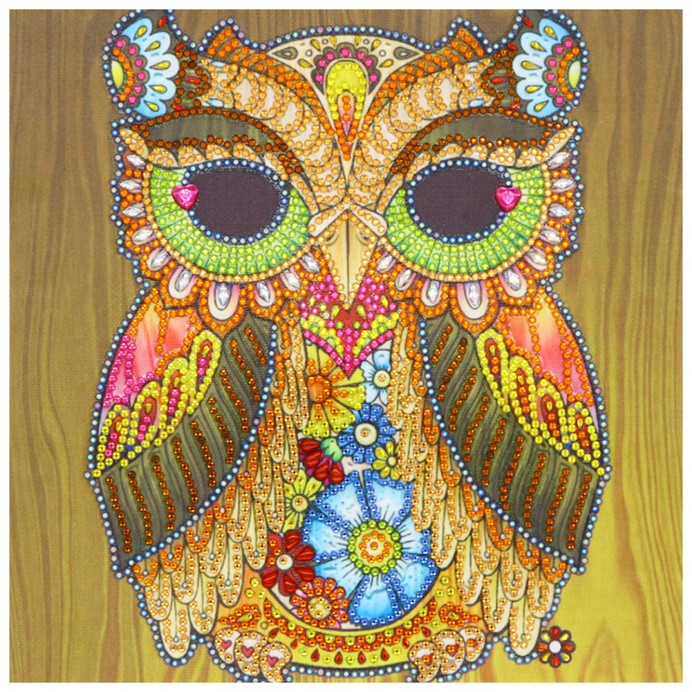 

30*30CM - Special Shaped Diamond Painting - Owl, 501 Original