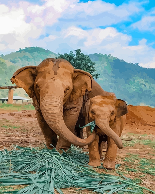 

Elephants in Thailand – Paint By Numbers - 40*50CM, 501 Original