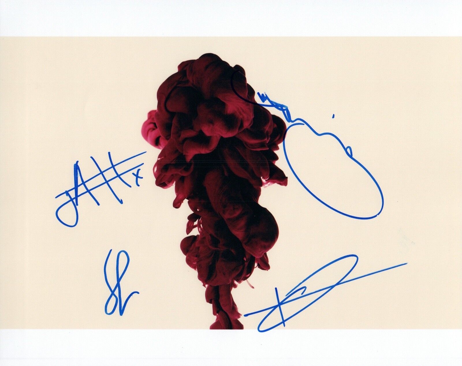 TEMPER TRAP Signed Autographed 8x10 Photo Poster painting Full Band COA VD