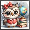Owl-18CT Stamped Cross Stitch Kit(20x20cm)
